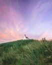 White little church on top of  the hill Royalty Free Stock Photo