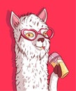 White llama with heart shaped sunglasses drinking lemonade. Funky alpaca holding a plastic cup of cold beverage