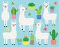 White Llamas and Cacti Vector Illustration