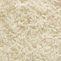 White long rice background, uncooked raw cereals, large detailed macro closeup pattern