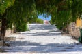 White long stairs with botanical arch made of green tree Royalty Free Stock Photo