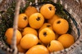 White Loquat harvest Royalty Free Stock Photo