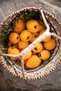 White Loquat harvest Royalty Free Stock Photo