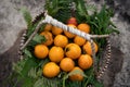 White Loquat Royalty Free Stock Photo