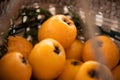 White Loquat harvest Royalty Free Stock Photo