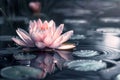 white lotos flower in pond, symbol of wesak day. 3d illustration