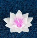 White lotus candle