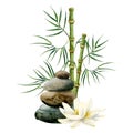 White Lotus flower with bamboo and balanced stones pyramid watercolor illustration for yoga, spa, Asian nature cosmetics
