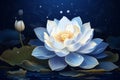 White lotus flower shining in moonlight on serene dark blue water surface at night Royalty Free Stock Photo