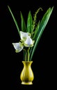 White lotus flower in a vase Royalty Free Stock Photo