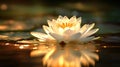 A white lotus in a golden magic pond. Generative Ai Royalty Free Stock Photo