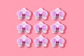 white and magenta orchids with shadow pattern on a pink background Royalty Free Stock Photo