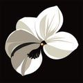 White magnolia flower isolated on black background. Vector illustration for your design AI Generated Royalty Free Stock Photo