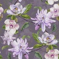 White magnolia, pink and yellow magnolia seamless vintage pattern on dark background Royalty Free Stock Photo