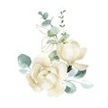 white magnolias and eucalyptus leaves. delicate illustration composition of flowers, green and golden leaves of eucalyptus. Royalty Free Stock Photo