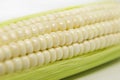 White Maize Corn Royalty Free Stock Photo