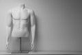 White male mannequin torso Royalty Free Stock Photo