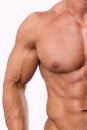 White male torso Royalty Free Stock Photo