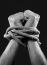 White man hands wrapped with rope around wrists in victim abused in captivity, slave of work and respect for human rights concept