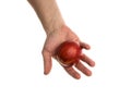 White man holds a blood orange in his hand Royalty Free Stock Photo