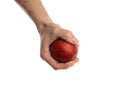 White man holds a blood orange in his hand Royalty Free Stock Photo