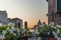 White mandevilla flowers on the waterfront of the Canal Grande in Venice with mooring poles, docks and old palaces in the