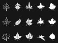 White maple icons on black background