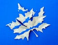 Maple leaf blue Royalty Free Stock Photo