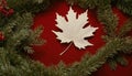 White Maple Leaf on Red with Green Fir Branches white leaf Royalty Free Stock Photo