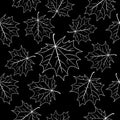 White maple leaves over black, seamless pattern. Autumn vector background.