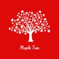 White maple tree