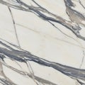 White marble with bold gray and black veining creates an intricate, natural pattern. The surface is Royalty Free Stock Photo