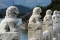 White Marble Carved Lions