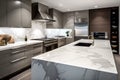 white marble countertops and stainless steel appliances in sleek and stylish kitchen