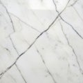 White marble with distinctive gray veining patterns crisscros Royalty Free Stock Photo