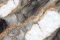 White marble with gold and black obsidian abstract background