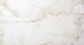 White marble with gold veins and inclusions