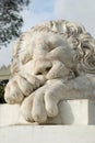 White marble lion sculpture in Alupka Royalty Free Stock Photo