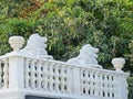 White marble lions in the Park of the Livadia Palace. Palace built in the tradition of the Italian Renaissance with elements Royalty Free Stock Photo