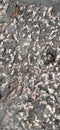 Marble surface. Sarajevo, Bosnia and Herzegovina, historic center. Close-up of the pavement near the mosque. Light marble or stone Royalty Free Stock Photo