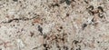 Marble surface. Sarajevo, Bosnia and Herzegovina, historic center. Close-up of the pavement near the mosque. Light marble or stone Royalty Free Stock Photo