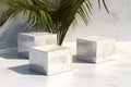 White marble podium with palm leafle background Royalty Free Stock Photo