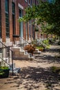 White Marble Steps in Baltimore Royalty Free Stock Photo