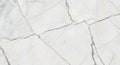 White marble surface features gray veining patterns, forming irregular, intersecting lines. The Royalty Free Stock Photo