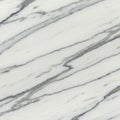 White marble surface featuring diagonal grey veining, typical of Carrara marble. The Royalty Free Stock Photo