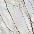 White marble surface featuring distinct grey and gold veining. The veins create an Royalty Free Stock Photo