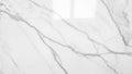 The veining pattern provides a classic and luxurious aesthetic Royalty Free Stock Photo
