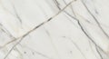 White marble surface featuring a pattern of grey and black veining Royalty Free Stock Photo