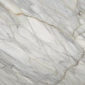 Characteristics typical of marble. The veins form irregular, networ Royalty Free Stock Photo