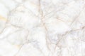 White marble texture background Royalty Free Stock Photo